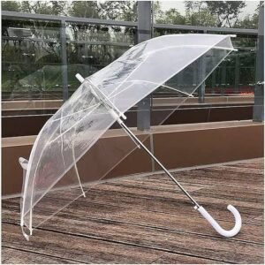 Transparent umbrella