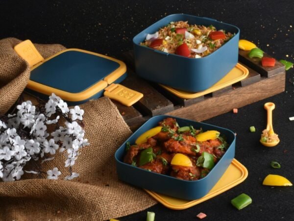 Bento Lunch Box